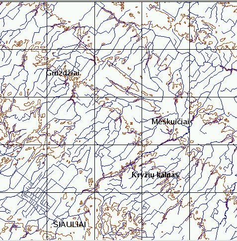 gruzdziai