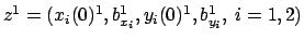 $z^1=(x_i(0)^1,b_{x_i}^1,y_i(0)^1,b_{y_i}^1,\ i=1,2)$
